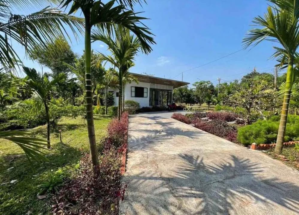 Bán Gấp Đất Vườn 3200m² Gần QL13, Bình Phước - Sổ Riêng Giá 300 Triệu