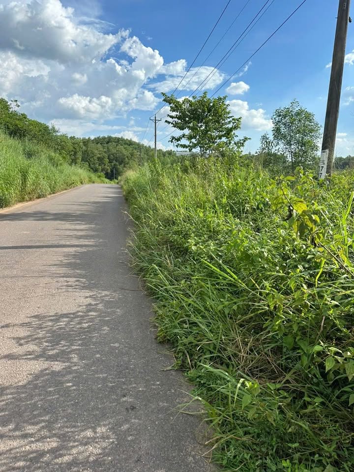 Đất nền Vĩnh Cửu 40.000m² - Thanh lý ngân hàng, mặt tiền đường nhựa, giá 22 tỷ