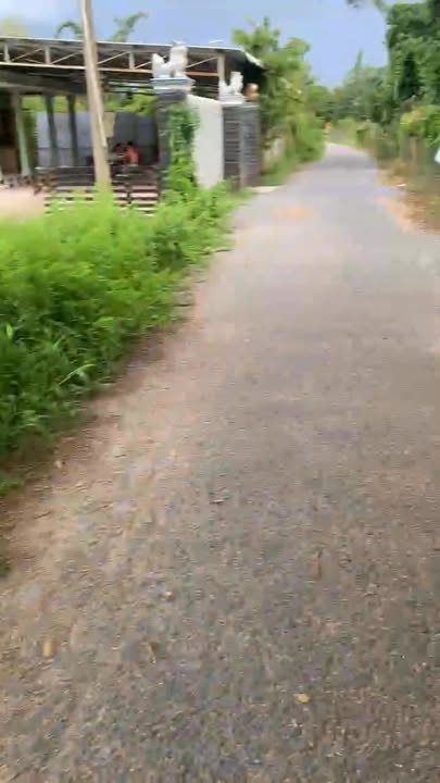 Đất nền Gò Dầu, Tây Ninh 235m² - Đất thổ cư 100%, pháp lý rõ ràng