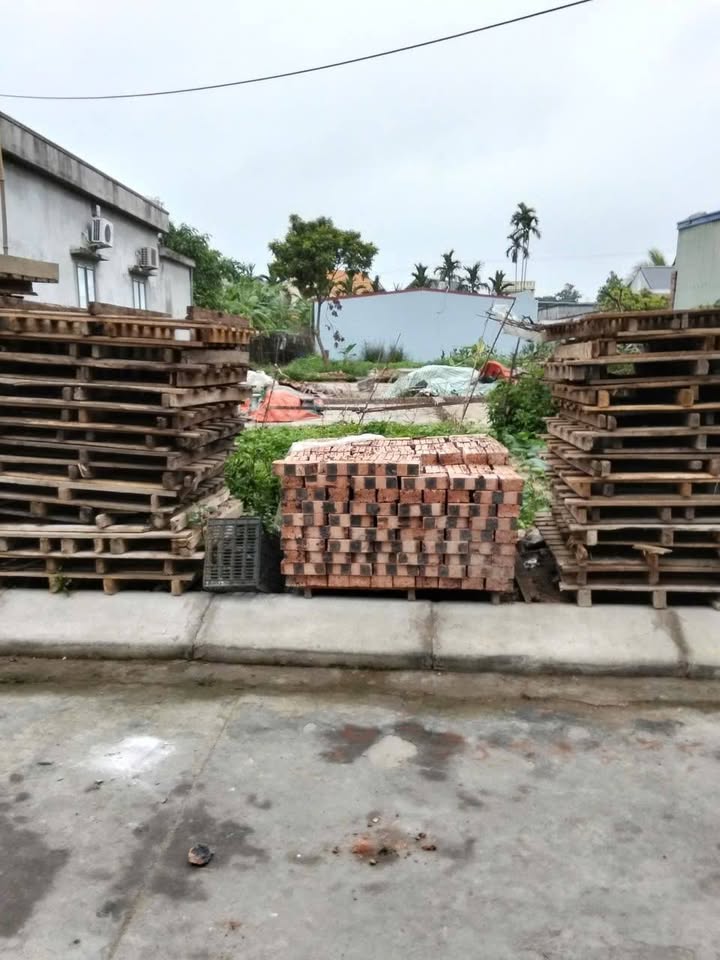 Đất nền Thôn Cẩm Văn, An Lão 75m² – Tiềm năng tăng giá vượt trội!