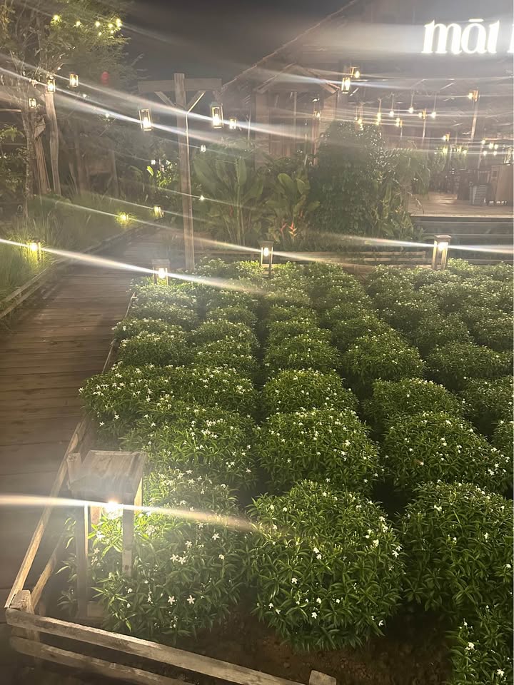 Phòng trọ Khu đô thị Chí Linh Vũng Tàu 2.2 triệu/tháng - Sẵn sàng ở ngay!