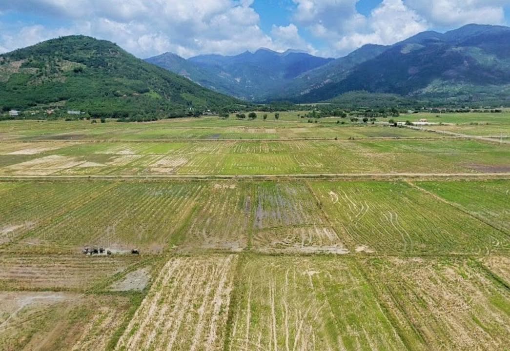 Đất Nền Diên Điền 904m² chỉ 180 Triệu - Tiềm Năng Tăng Giá Vượt Trội!