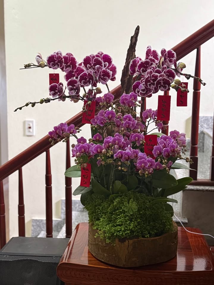 Đất nền mặt đường Quỳnh Mỹ, Quỳnh Phụ 108m² - Sổ đỏ sẵn sàng giao dịch