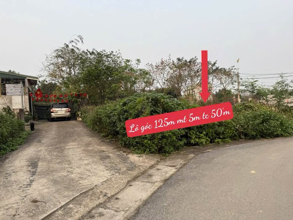 Đất nền góc 2 mặt tiền 125m² - Sát TP Vĩnh Yên, Vĩnh Phúc - Giá đầu tư