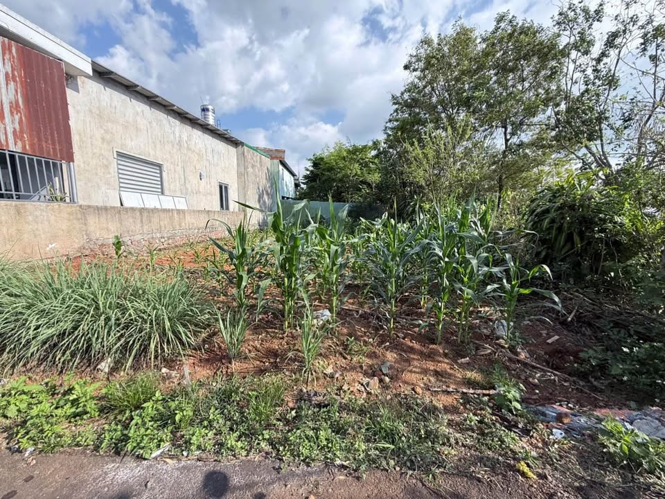 Đất nền Hẻm Nguyễn Trãi Bảo Lộc 102m² giá 1.25 tỷ - Sổ đỏ chính chủ!