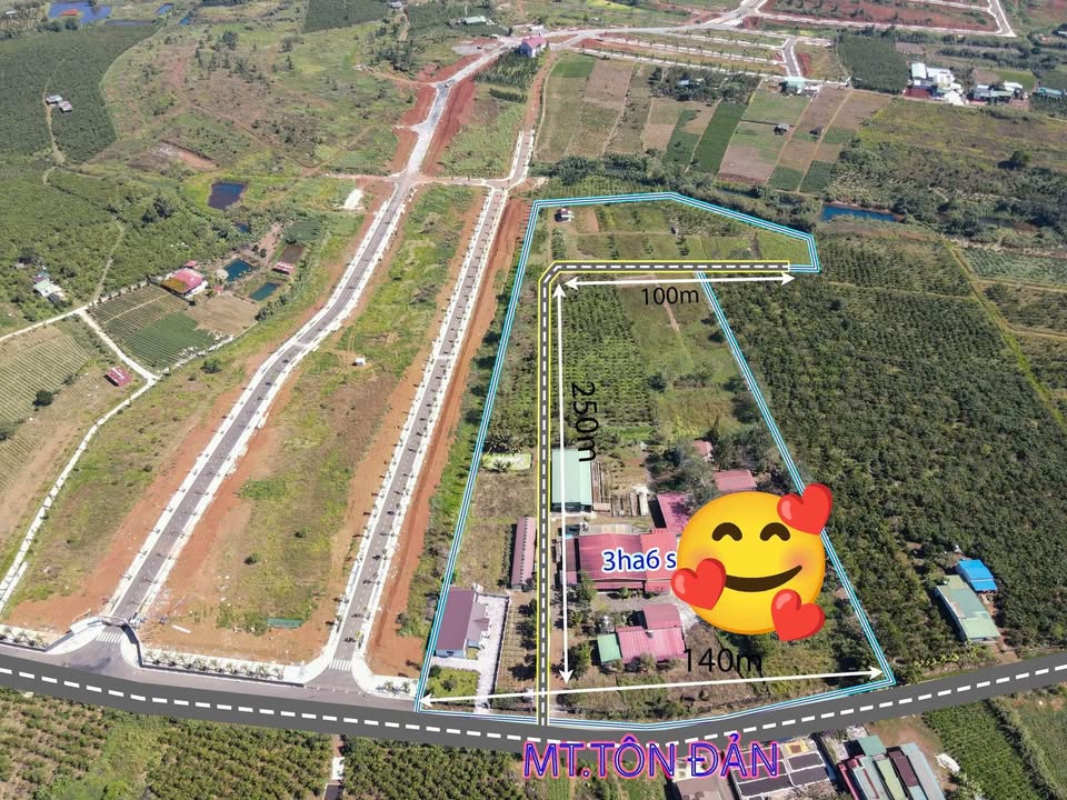 Bán Đất Vườn 3.6ha Mặt Tiền Đường Lớn Bảo Lộc - Giá Đầu Tư 1.4 Tỷ/Ha