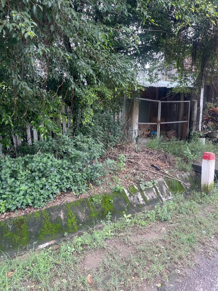 Đất Vàng Quy Nhơn 172m² Mặt Tiền Đường Bùi Thị Xuân - Giá 1.5 Tỷ