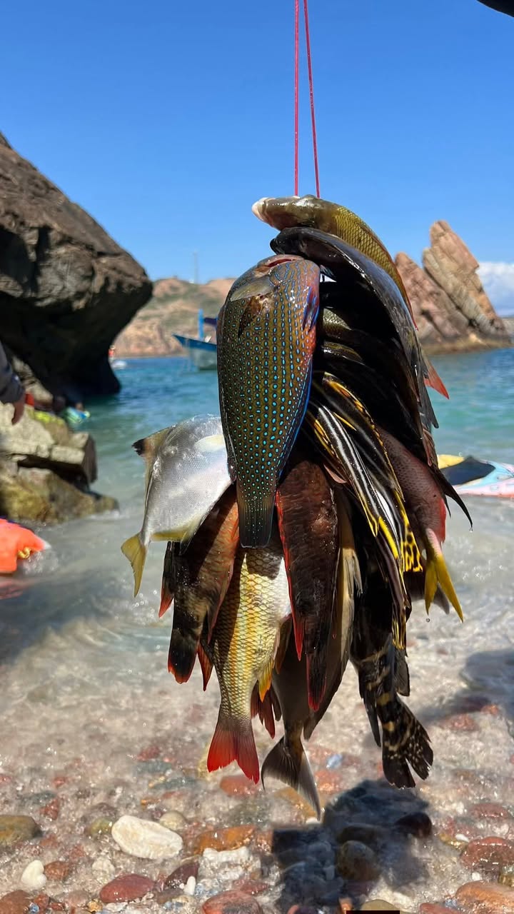 Nhà Mặt Tiền Lê Duẩn Quy Nhơn 75m² - Mặt tiền kinh doanh