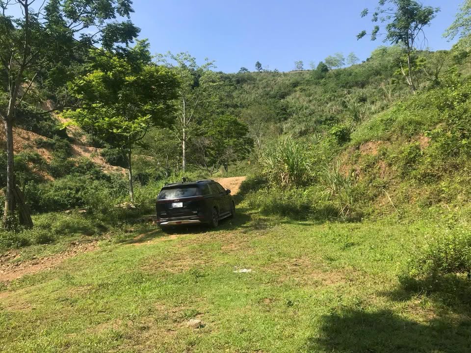 Bán 30ha Đất Vườn Tại Đà Bắc, Hoà Bình - Sẵn Sàng Triển Khai Dự Án