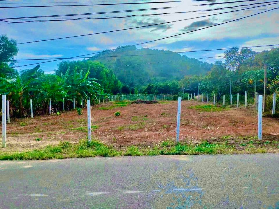 Đất nền Xã Phước Thuận 765m² - Tiềm năng tăng giá vượt trội!