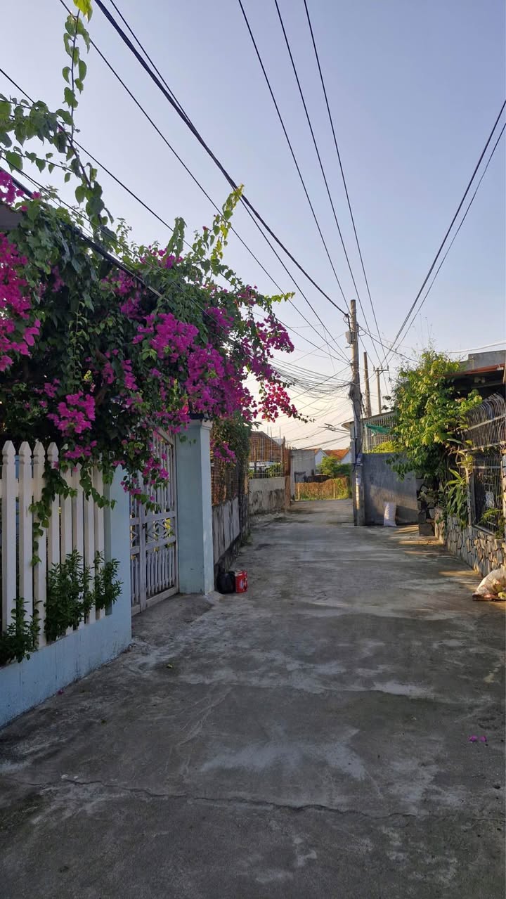 Nhà Cấp 4 Chính Chủ 95m² - 700 Triệu - Trung Tâm Phường Bình Kiến