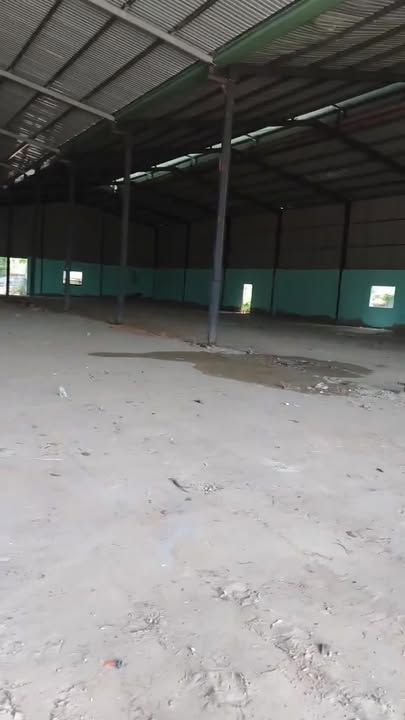 Kho xưởng Bến Cát 5.000m² giá 300 triệu - Hoạt động ngay
