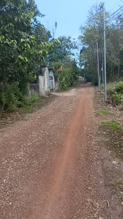 Đất nền An Bình, Phú Giáo 900m² - Tiềm năng tăng giá vượt trội!