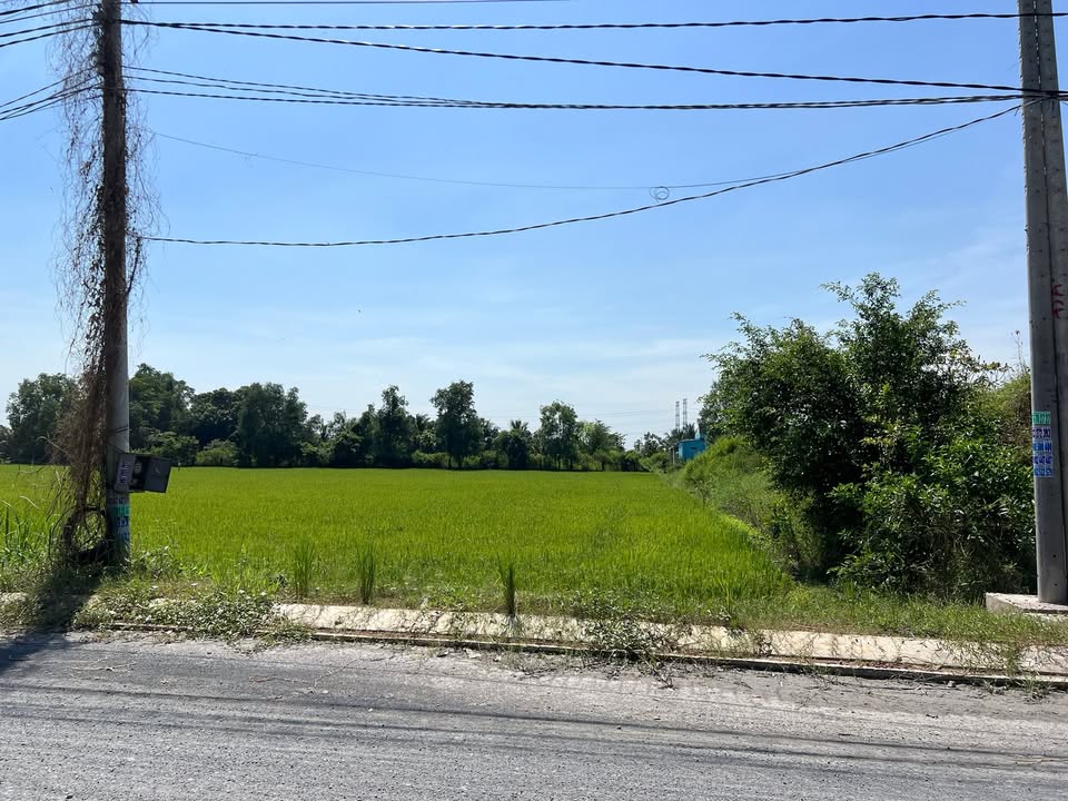 Đất Nền Mặt Tiền Đường Số 2 Bình Lợi, Tân An - 150m² Sổ Hồng Riêng