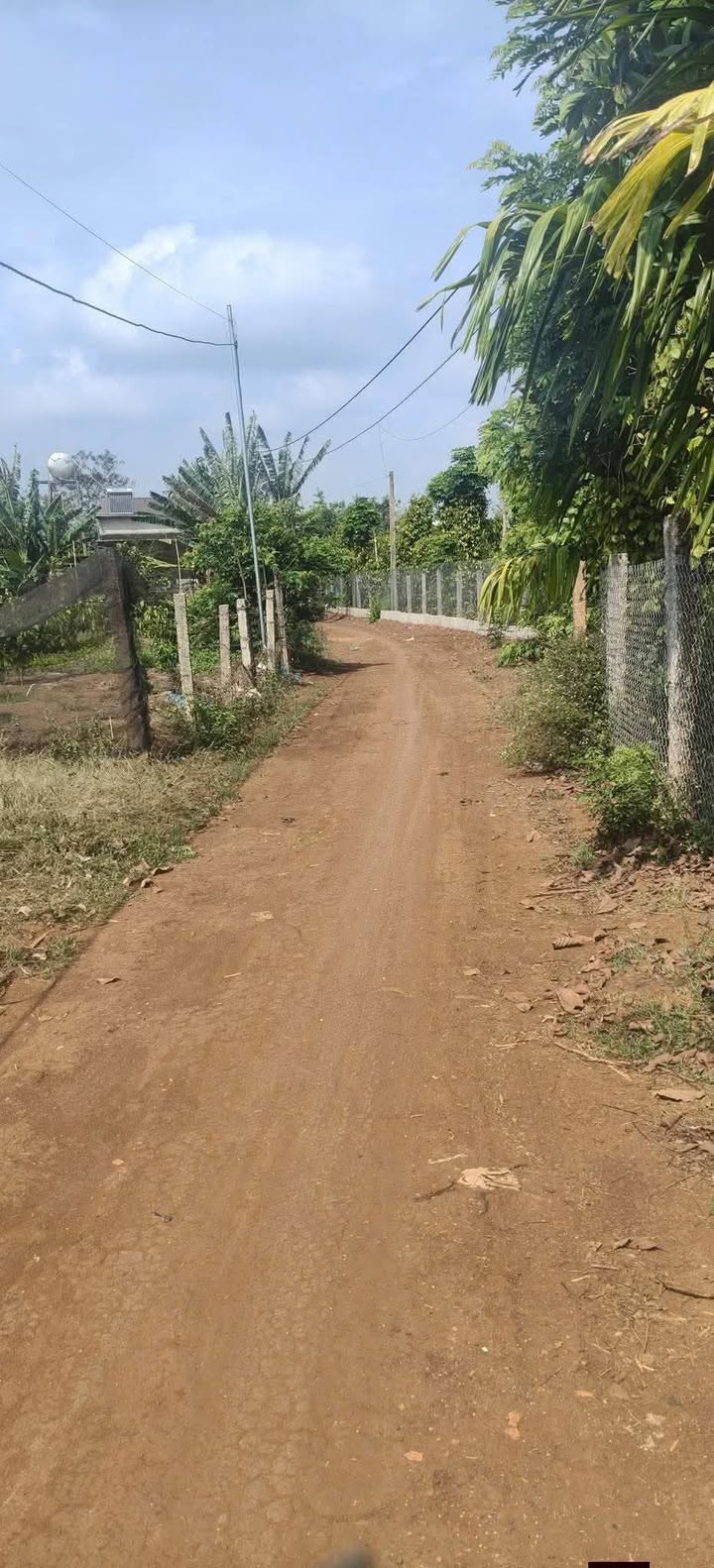 Đất thổ cư 240m² tại Xã Dray Sáp, Đắk Lắk - Giá 399 triệu, khu dân cư đông đúc