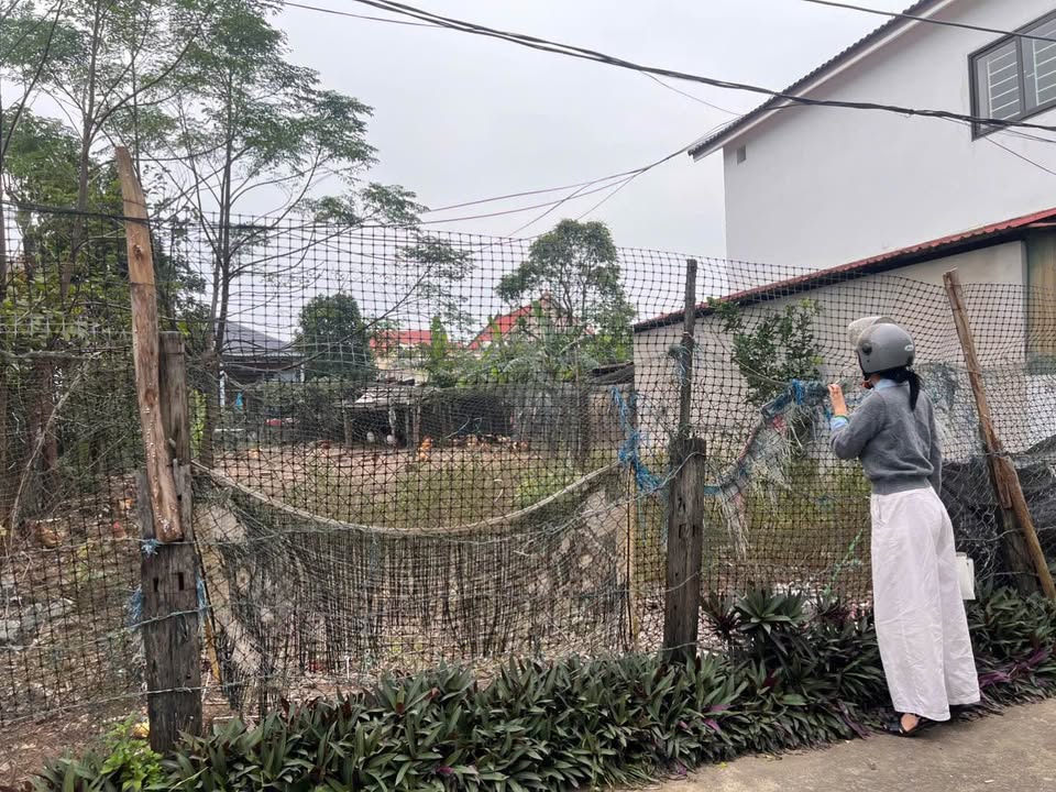 Đất nền Ngõ Trung Thuần Lộc Ninh 246m² - Tiềm năng tăng giá vượt trội!