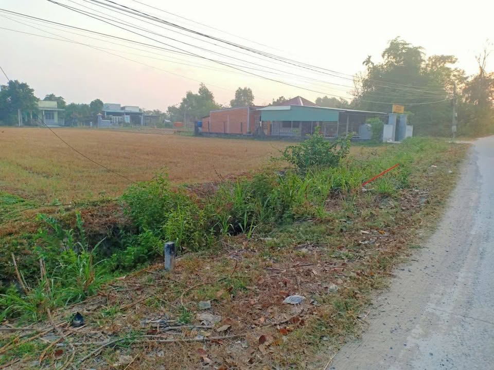 Đất nền Mỹ Hạnh, Đức Hòa 245m² - Sổ đỏ chính chủ, thổ cư 100%!