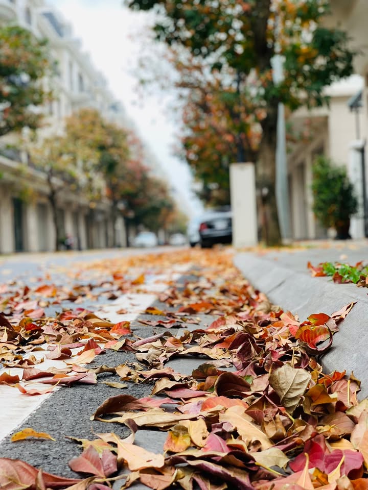 Cho thuê nhà 5 tầng full nội thất, Ocean Park 2-3, Gia Lâm - 10 triệu/tháng