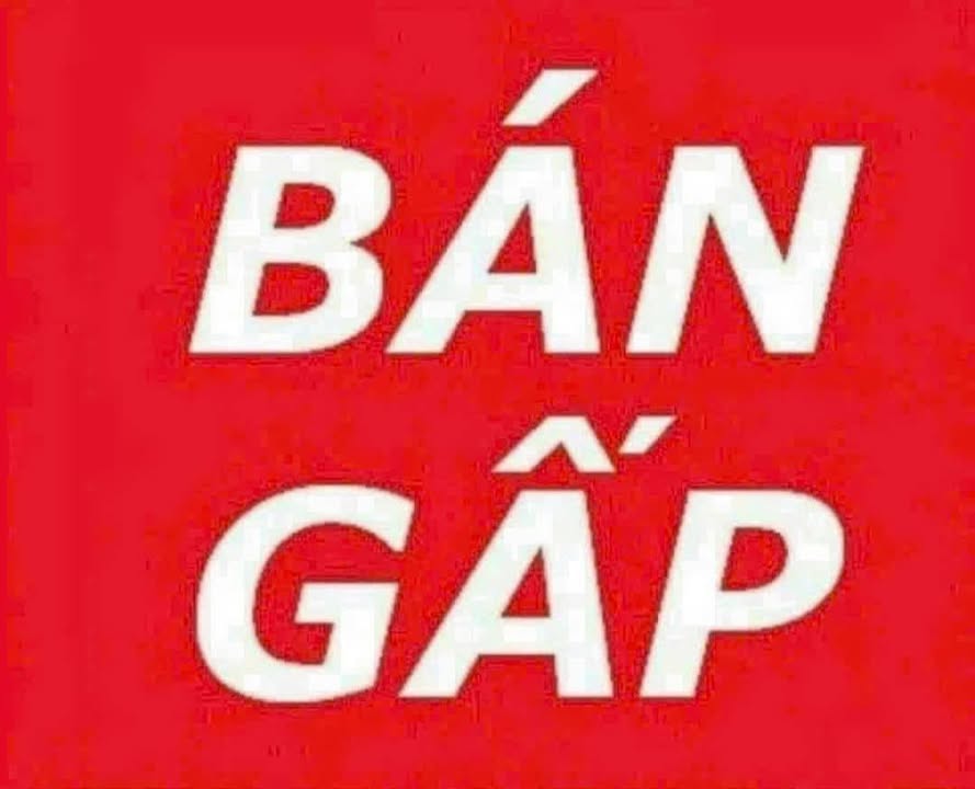 Nhà Mái Thái Mặt Tiền Tân Phước Tây, Long An - 192m² Giá 1.3 Tỷ