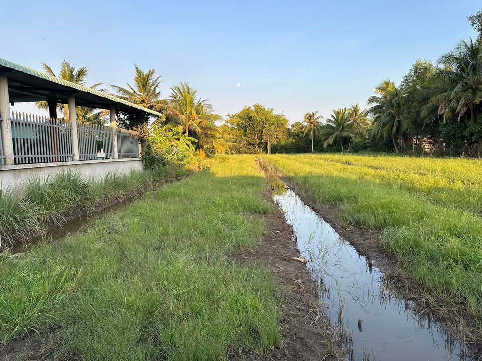 Đất Vườn 546m² Ấp 3 Thạnh Đức, Bến Lức - Giá Đầu Tư 550 Triệu