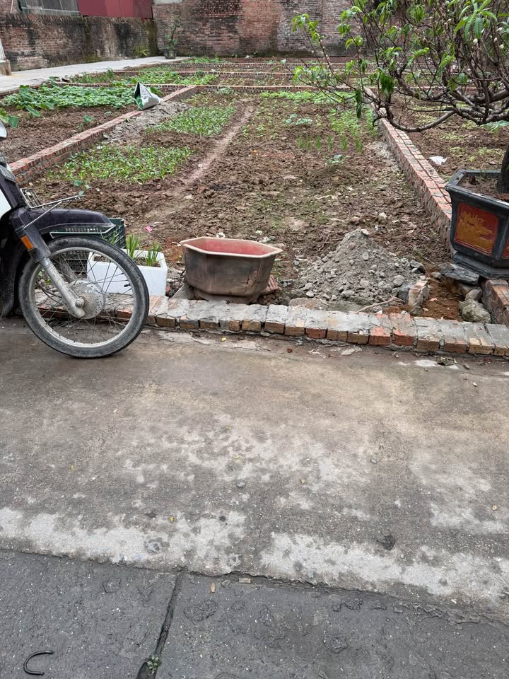 Đất Như Quỳnh Văn Lâm 41m² 2 tỷ – Sổ đỏ chính chủ