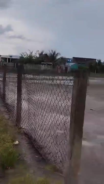 Đất vườn Tân Trạch Cần Đước 2.000m² 2.5 tỷ - Sổ hồng rõ ràng