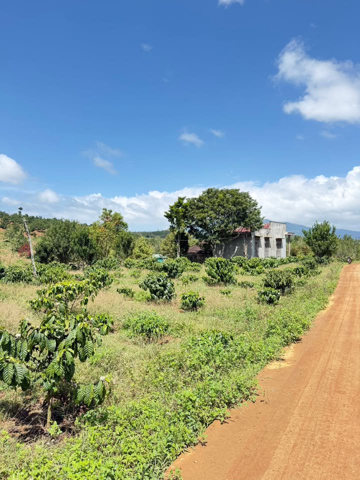 Đất nền Tân Thanh, Lâm Hà 12000m² giá 3.2 tỷ - Tiềm năng tăng giá