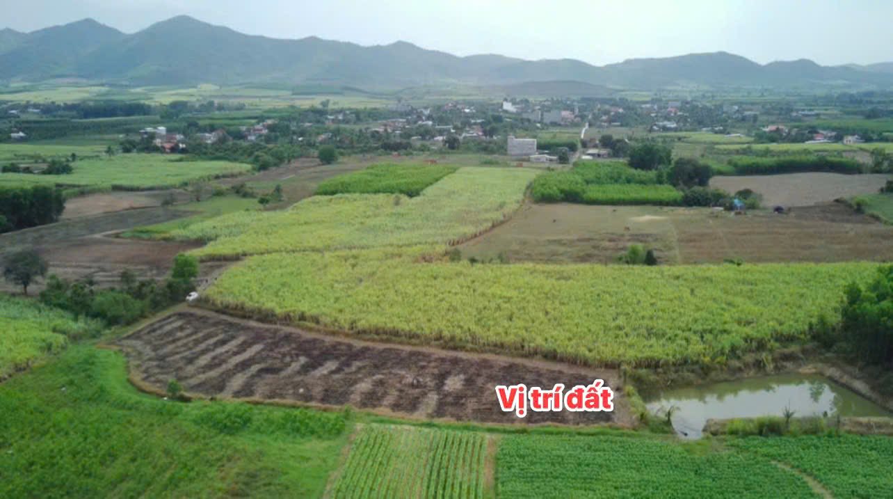 Đất nền Thôn 1 Ninh Hòa 500m² - Sổ đỏ chính chủ, ô tô vào tận nơi!