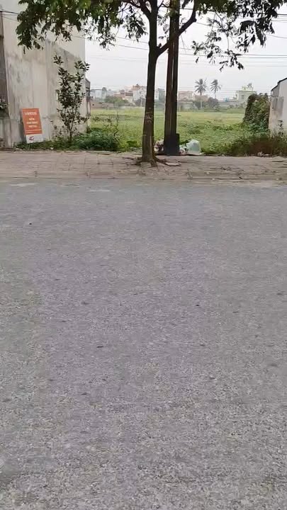 Đất nền Bình Nguyên 100m² đường DT219 - Tiềm năng tăng giá vượt trội!