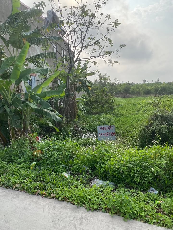 Đất Nền Hải Quang 120m² - Sổ Đỏ Chính Chủ, Gần Trung Tâm Hành Chính