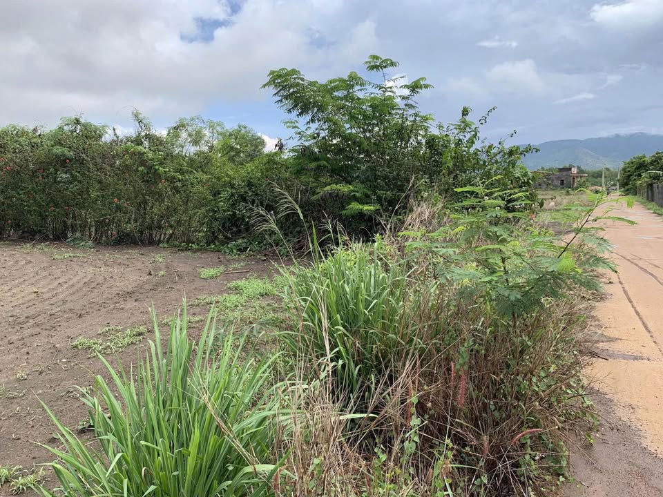 Đất Hòa Hiệp 523m² 890 triệu - Đường to ô tô