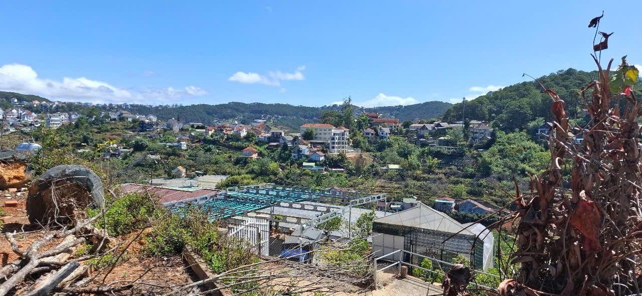 Đất vườn Khe Sanh Đà Lạt 3.000m² 30 triệu - Nghỉ dưỡng lý tưởng