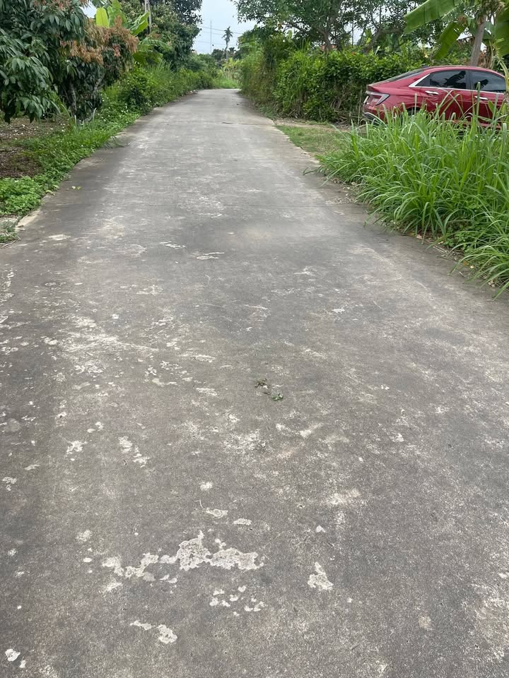 Đất vườn Nam Điện, Lục Ngạn 7000m² - Nghỉ dưỡng lý tưởng 2 tỷ!