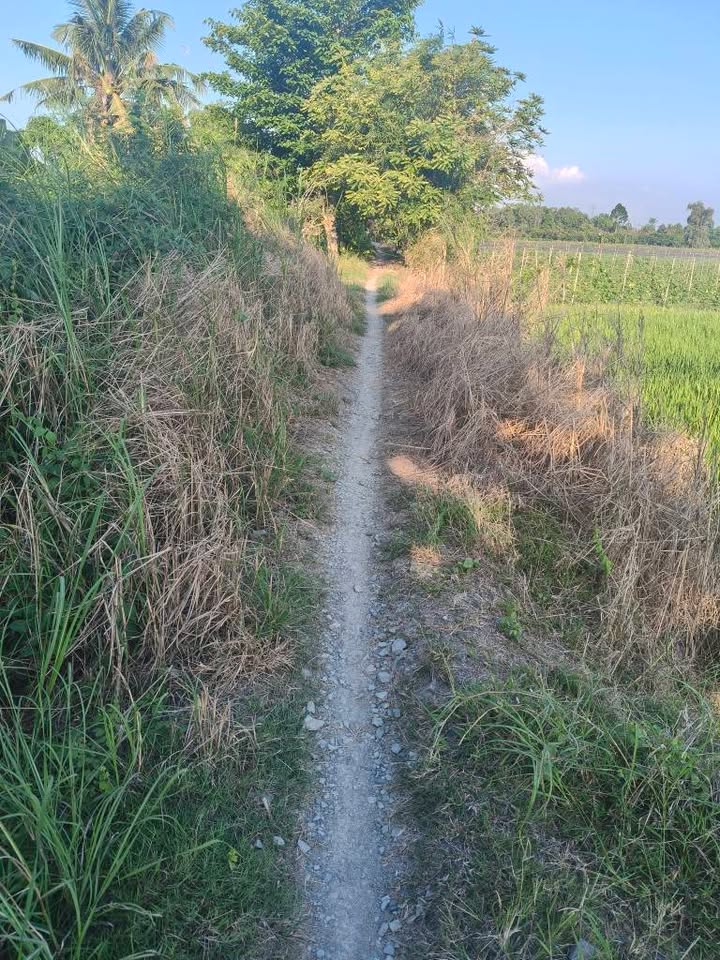 Đất Nền Tân Phú Trung Đồng Tháp 13.000m² - Giá Đầu Tư Tốt!