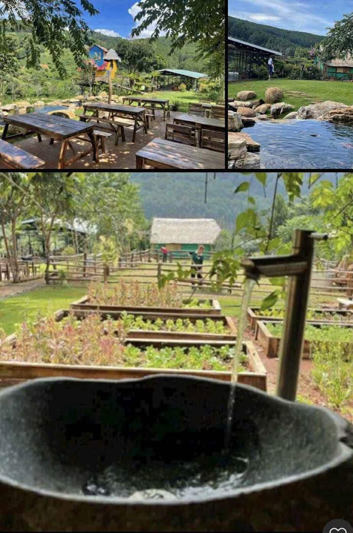 Cho thuê 10ha Đất Nông Nghiệp Đắk Nông - Miễn Phí 3 Năm