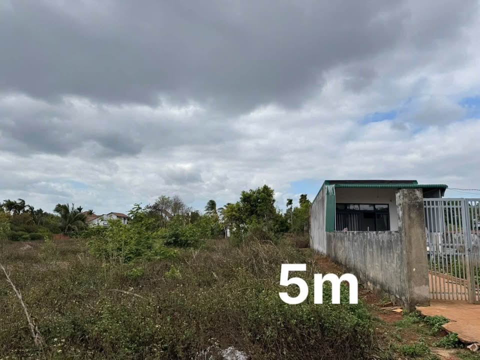 Đất Nền 150m² Thôn 1 Hòa Thuận - Giá Tốt 850 Triệu