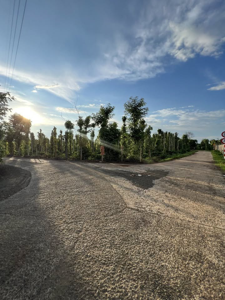 Đất Nền Ea Tam 3200m² 1.95 Tỷ - Đường To Ô Tô, Pháp Lý Rõ Ràng