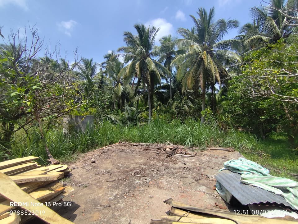 Bán Đất Xã Định Thủy, Bến Tre 1424.7m² - Giá 990 Triệu