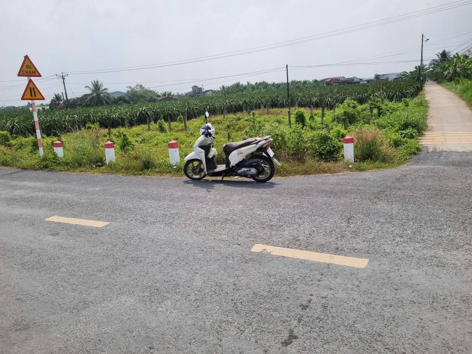 Đất nền Hiệp Thạnh 650m² 1.5 tỷ - Sổ đỏ chính chủ