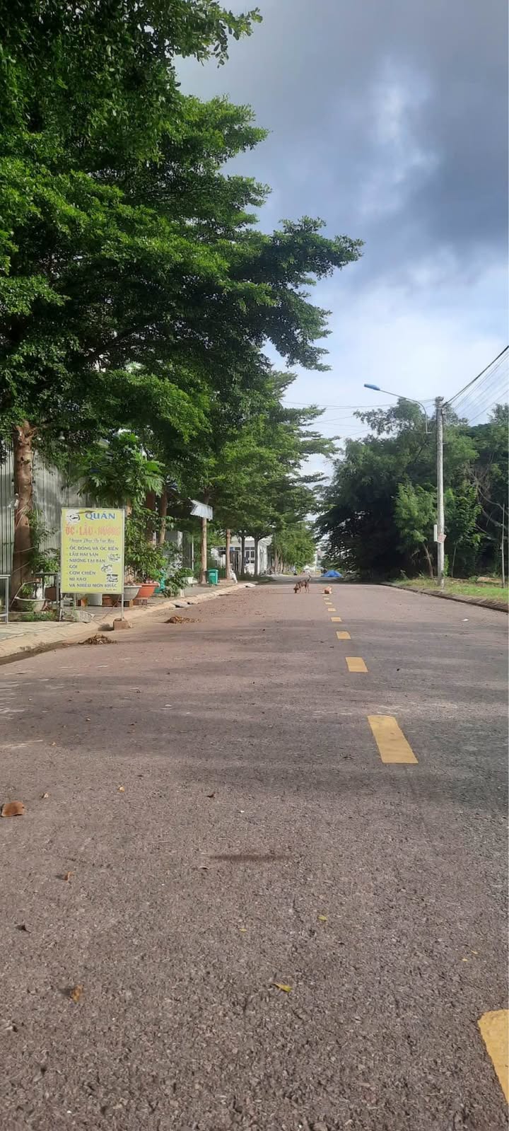 Đất nền Pleiku 90m² giá 1.5 tỷ - Sổ đỏ chính chủ