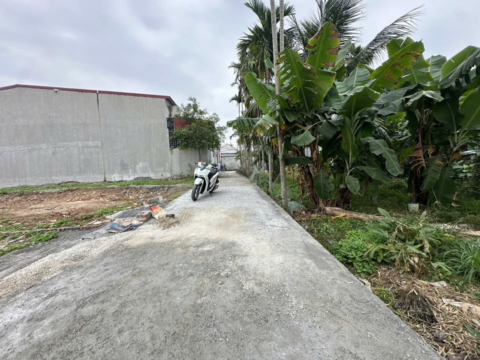 Đất nền Phong Cầu Đại Đồng 272m² 1 tỷ - Sổ đỏ chính chủ