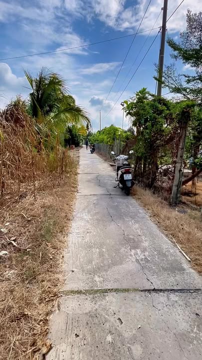 Đất vườn Phong Điền Cần Thơ 4789m² - Nghỉ dưỡng lý tưởng!