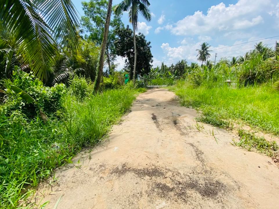 Bán Nền 5x29m Sổ Hồng Sẵn - Xã Ngãi Tứ, Vĩnh Long