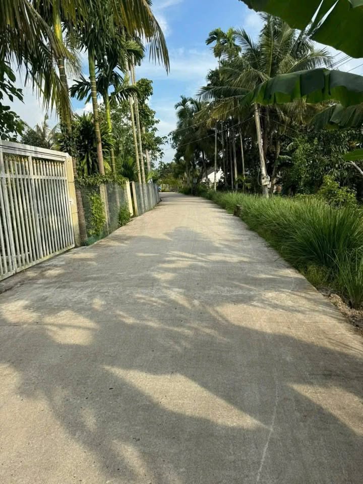 Đất nền Thới Lai Cần Thơ 2188m² giá chỉ 7xx triệu - Đường to ô tô