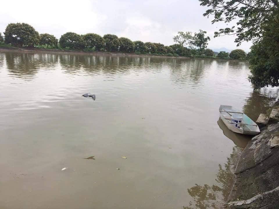 Bán Trang Trại 7200m² Hồng Sơn, Mỹ Đức - Sẵn Vườn Cây Ăn Quả, Ao Cá