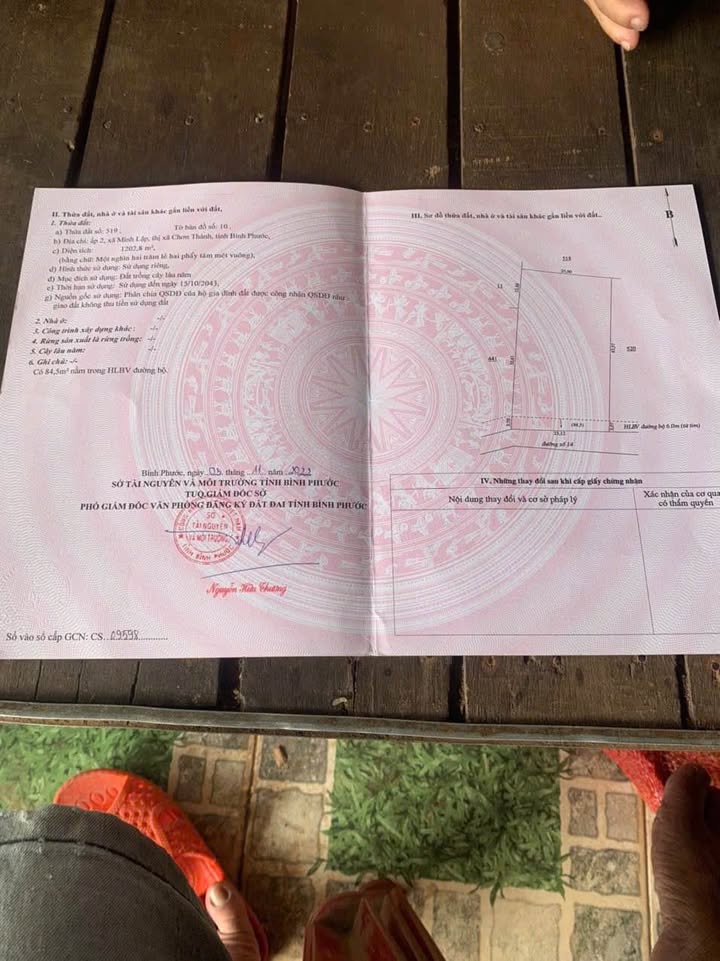 Đất nền Minh Lập Chơn Thành 2150m² - Tiềm năng tăng giá vượt trội!