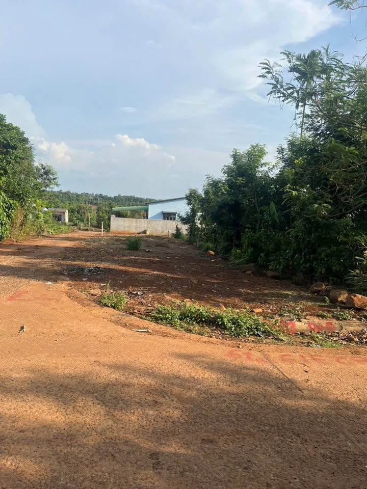 Đất Nền Buôn Đôn 231m² 2 Mặt Tiền Hẻm - Giá Tốt 880 Triệu