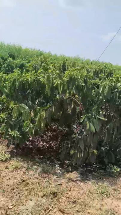 Đất nền Quảng Hiệp 3600m² - Giá 1.4 tỷ, tiềm năng tăng giá!