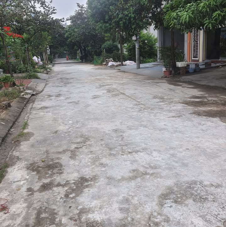 Bán đất 90m² Ngõ 483 Lê Thái Tổ, Ninh Bình - Sổ đỏ chính chủ