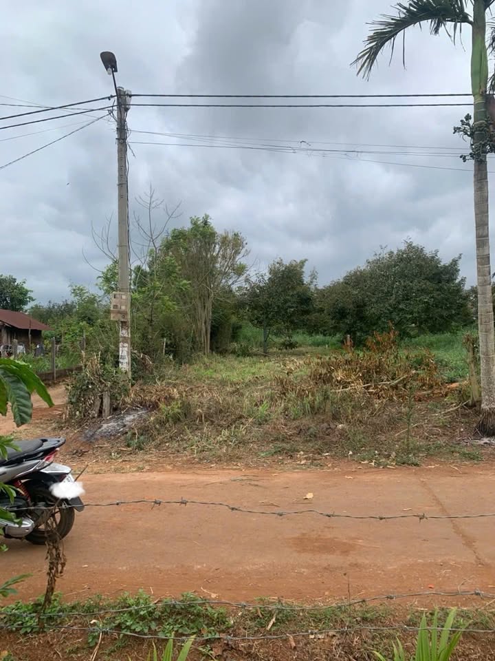 Đất Lô Góc 189m² Xã Bình Thuận, Buôn Hồ - Sổ Đỏ 60% Thổ Cư, Giá 350 Triệu